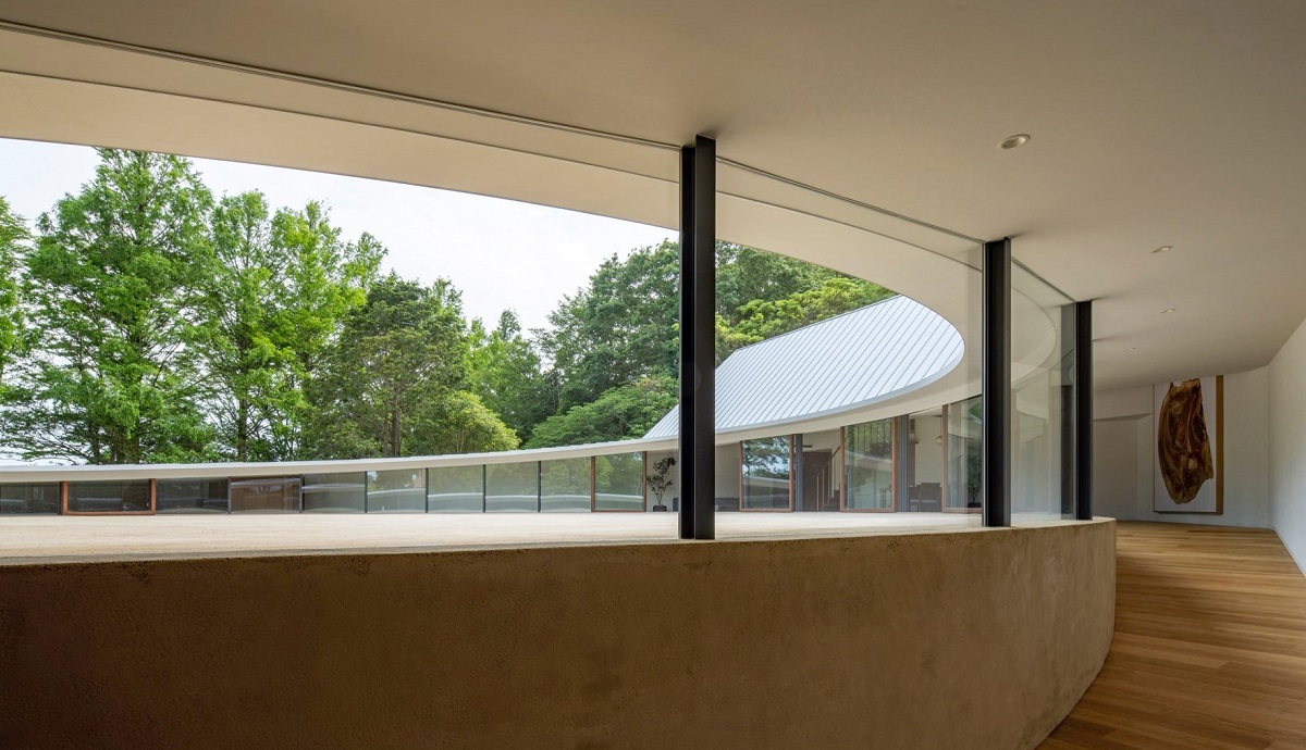 Continuing Ed:Go Hasegawa | Hasegawa and Associates