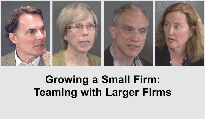 Growing a Small Firm: Teaming with Larger Firms