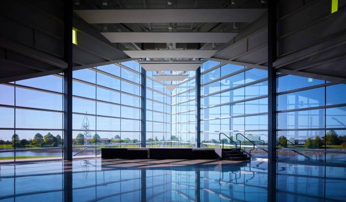 MDC – Rand Elliott, FAIA: Stray Dogs
